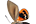 .Castniidae
