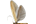 Coleophoridae