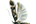 Gelechiidae