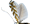 .Gracillariidae