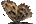.Hesperiidae
