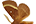 .Lasiocampidae