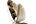 Momphidae