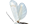 .Opostegidae
