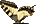 .Papilionidae