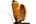 .Roeslerstammiidae
