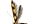Stathmopodidae
