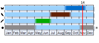 Phenogram based on the literature