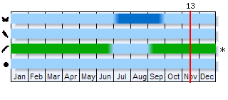 Phenogram based on the literature