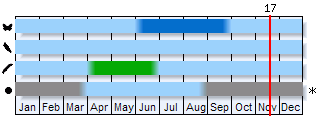 Phenogram based on the literature