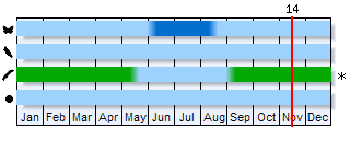 Phenogram based on the literature