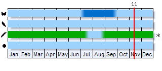 Phenogram based on the literature