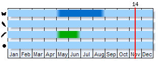 Phenogram based on the literature