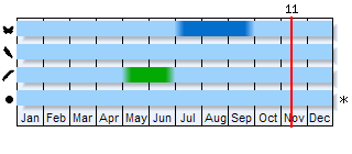 Phenogram based on the literature