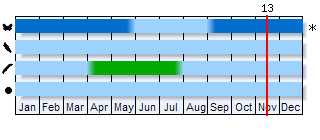 Phenogram based on the literature