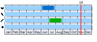 Phenogram based on the literature