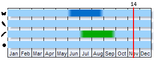 Phenogram based on the literature