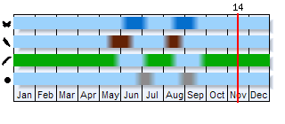 Phenogram based on the literature