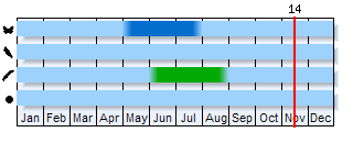 Phenogram based on the literature