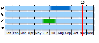 Phenogram based on the literature