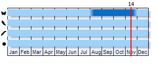 Phenogram based on the literature