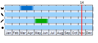 Phenogram based on the literature