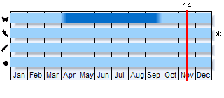 Phenogram based on the literature