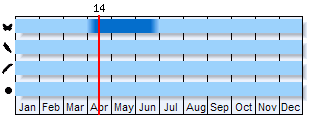 Phenogram based on literature