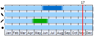 Phenogram based on the literature