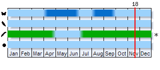 Phenogram based on the literature