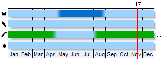 Phenogram based on the literature