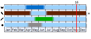 Phenogram based on the literature