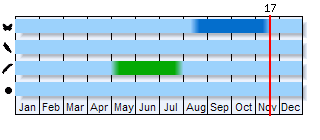 Phenogram based on the literature