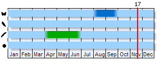 Phenogram based on the literature