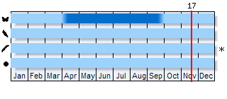 Phenogram based on the literature