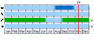 Phenogram based on the literature
