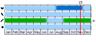 Phenogram based on the literature