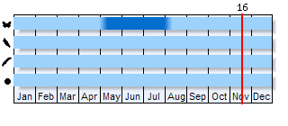 Phenogram based on the literature