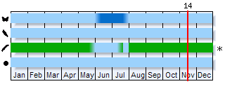 Phenogram based on the literature