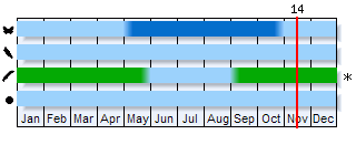 Phenogram based on the literature