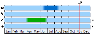 Phenogram based on the literature