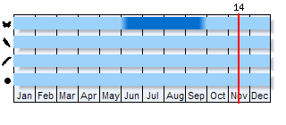 Phenogram based on the literature