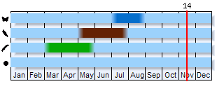 Phenogram based on the literature