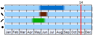 Phenogram based on the literature