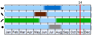 Phenogram based on the literature