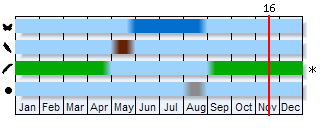 Phenogram based on the literature