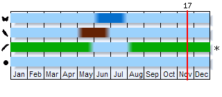 Phenogram based on the literature