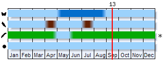 Phenogram based on the literature
