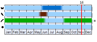 Phenogram based on the literature