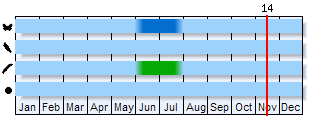Phenogram based on the literature
